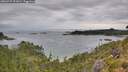 ./images/calvert/foggy-cove/20260727/foggy-cove20260727_091001M.jpg