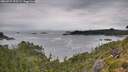 ./images/calvert/foggy-cove/20260727/foggy-cove20260727_092502M.jpg