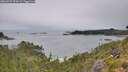 ./images/calvert/foggy-cove/20260727/foggy-cove20260727_094501M.jpg
