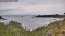 ./images/calvert/foggy-cove/20260727/foggy-cove20260727_100502M.jpg