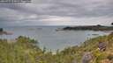./images/calvert/foggy-cove/20260727/foggy-cove20260727_103001M.jpg