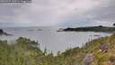 ./images/calvert/foggy-cove/20260727/foggy-cove20260727_110501M.jpg