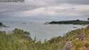 ./images/calvert/foggy-cove/20260727/foggy-cove20260727_115001M.jpg