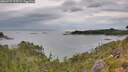 ./images/calvert/foggy-cove/20260727/foggy-cove20260727_115501M.jpg