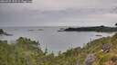 ./images/calvert/foggy-cove/20260727/foggy-cove20260727_143501M.jpg