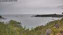 ./images/calvert/foggy-cove/20260727/foggy-cove20260727_144001M.jpg
