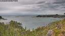 ./images/calvert/foggy-cove/20260727/foggy-cove20260727_165501M.jpg