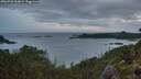 ./images/calvert/foggy-cove/20260728/foggy-cove20260728_053001M.jpg
