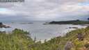 ./images/calvert/foggy-cove/20260728/foggy-cove20260728_073001M.jpg