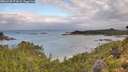 ./images/calvert/foggy-cove/20260728/foggy-cove20260728_074502M.jpg