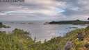 ./images/calvert/foggy-cove/20260728/foggy-cove20260728_081001M.jpg