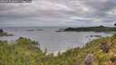 ./images/calvert/foggy-cove/20260728/foggy-cove20260728_082001M.jpg