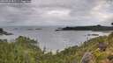 ./images/calvert/foggy-cove/20260728/foggy-cove20260728_085501M.jpg