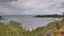 ./images/calvert/foggy-cove/20260728/foggy-cove20260728_091001M.jpg