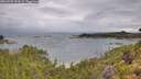 ./images/calvert/foggy-cove/20260728/foggy-cove20260728_092001M.jpg