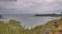 ./images/calvert/foggy-cove/20260728/foggy-cove20260728_093501M.jpg