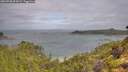 ./images/calvert/foggy-cove/20260728/foggy-cove20260728_095001M.jpg