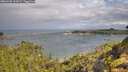 ./images/calvert/foggy-cove/20260728/foggy-cove20260728_100002M.jpg