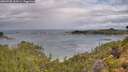 ./images/calvert/foggy-cove/20260728/foggy-cove20260728_100501M.jpg