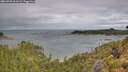 ./images/calvert/foggy-cove/20260728/foggy-cove20260728_101001M.jpg