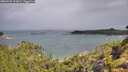 ./images/calvert/foggy-cove/20260728/foggy-cove20260728_102001M.jpg