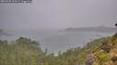 ./images/calvert/foggy-cove/20260728/foggy-cove20260728_103501M.jpg