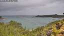 ./images/calvert/foggy-cove/20260728/foggy-cove20260728_104001M.jpg