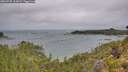 ./images/calvert/foggy-cove/20260728/foggy-cove20260728_105001M.jpg