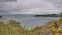 ./images/calvert/foggy-cove/20260728/foggy-cove20260728_105501M.jpg
