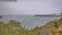 ./images/calvert/foggy-cove/20260728/foggy-cove20260728_112001M.jpg