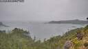 ./images/calvert/foggy-cove/20260728/foggy-cove20260728_115002M.jpg