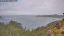 ./images/calvert/foggy-cove/20260728/foggy-cove20260728_123501M.jpg