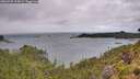 ./images/calvert/foggy-cove/20260728/foggy-cove20260728_124501M.jpg