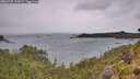 ./images/calvert/foggy-cove/20260728/foggy-cove20260728_125001M.jpg
