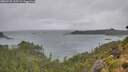 ./images/calvert/foggy-cove/20260728/foggy-cove20260728_125501M.jpg