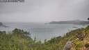 ./images/calvert/foggy-cove/20260728/foggy-cove20260728_132501M.jpg