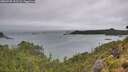 ./images/calvert/foggy-cove/20260728/foggy-cove20260728_133501M.jpg