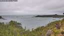 ./images/calvert/foggy-cove/20260728/foggy-cove20260728_134502M.jpg