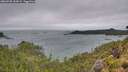 ./images/calvert/foggy-cove/20260728/foggy-cove20260728_135001M.jpg