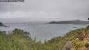 ./images/calvert/foggy-cove/20260728/foggy-cove20260728_141501M.jpg