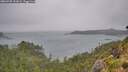 ./images/calvert/foggy-cove/20260728/foggy-cove20260728_142002M.jpg