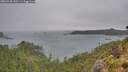 ./images/calvert/foggy-cove/20260728/foggy-cove20260728_142501M.jpg