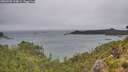 ./images/calvert/foggy-cove/20260728/foggy-cove20260728_144001M.jpg