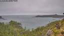./images/calvert/foggy-cove/20260728/foggy-cove20260728_144501M.jpg