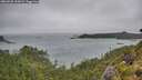 ./images/calvert/foggy-cove/20260728/foggy-cove20260728_145001M.jpg