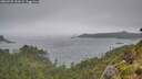 ./images/calvert/foggy-cove/20260728/foggy-cove20260728_151002M.jpg