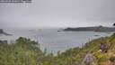 ./images/calvert/foggy-cove/20260728/foggy-cove20260728_152001M.jpg