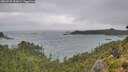 ./images/calvert/foggy-cove/20260728/foggy-cove20260728_153001M.jpg