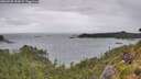 ./images/calvert/foggy-cove/20260728/foggy-cove20260728_154501M.jpg
