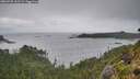 ./images/calvert/foggy-cove/20260728/foggy-cove20260728_161501M.jpg